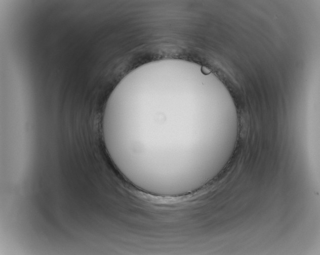 X0000111520034200907141245