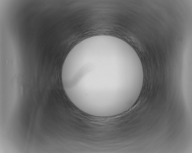 X0000111520037200907141245