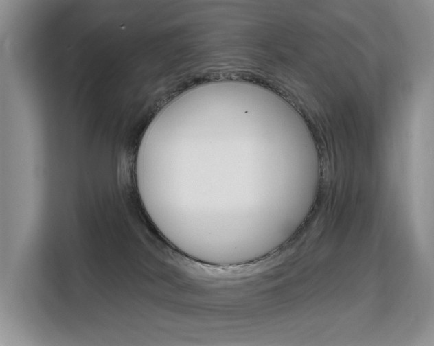 X0000111520038200907141245