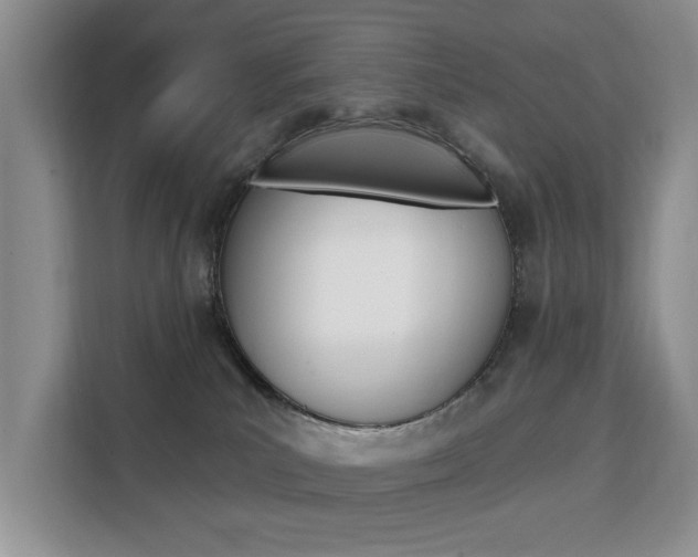 X0000111520039200907141245