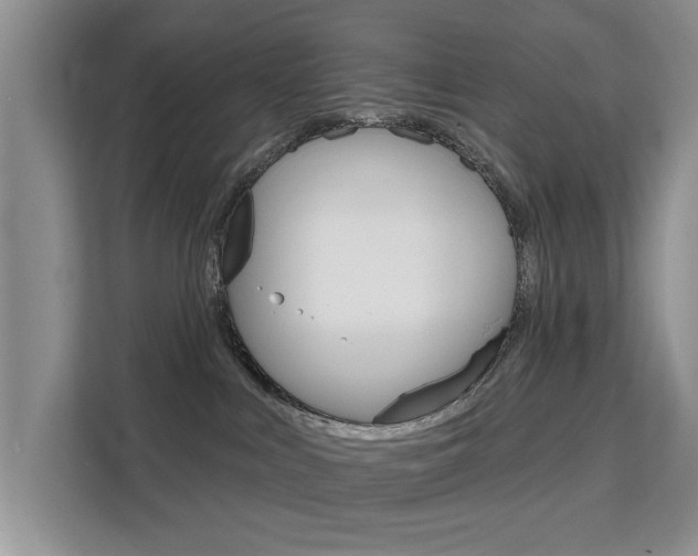 X0000111520043200907141245