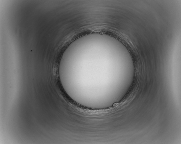 X0000111520044200907141245