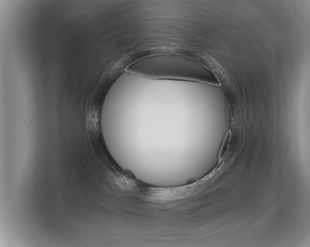X0000111520045200907141245