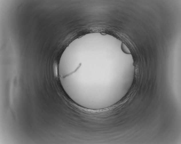 X0000111520046200907141245