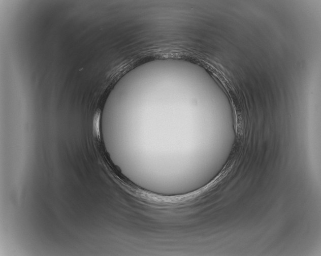 X0000111520047200907141245