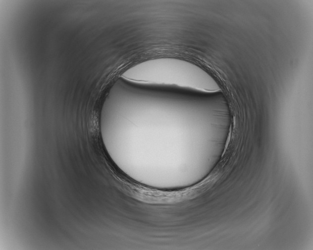 X0000111520048200907141245