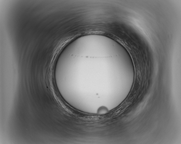 X0000111520049200907141244