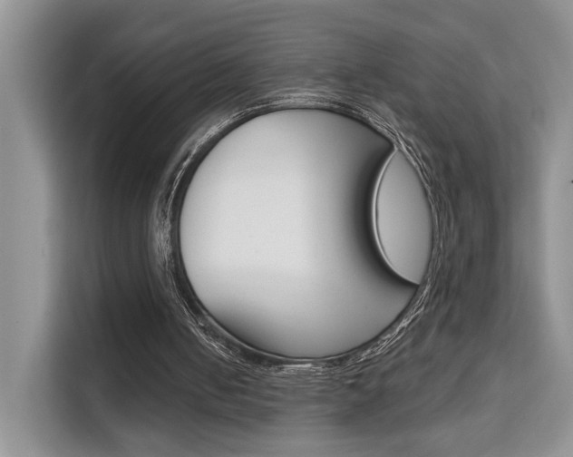 X0000111520050200907141244