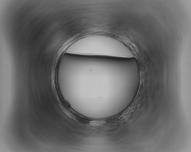 X0000111520051200907141244