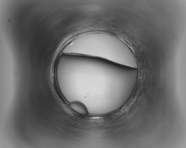 X0000111520053200907141244