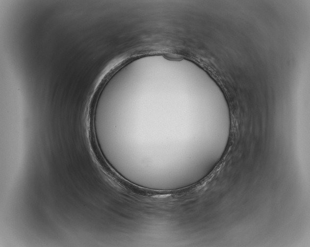 X0000111520054200907141244