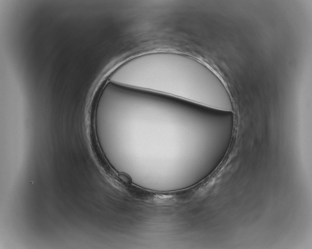 X0000111520055200907141244
