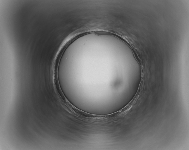 X0000111520056200907141244