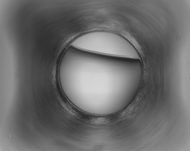 X0000111520058200907141244