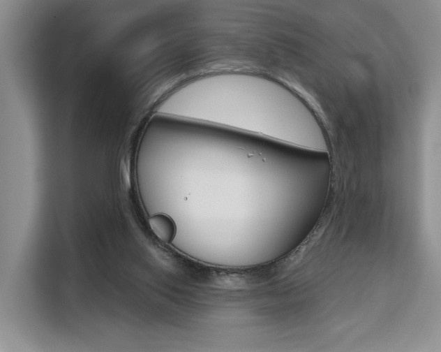 X0000111520062200907141244