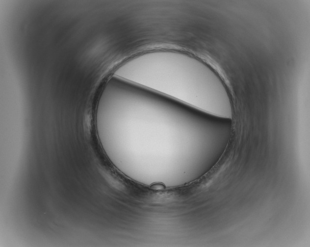 X0000111520063200907141244