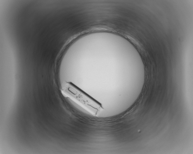 X0000111520064200907141244