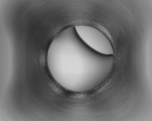 X0000111520065200907141244