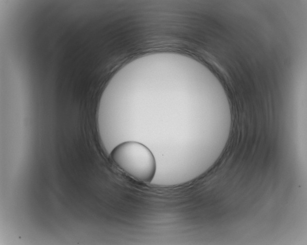 X0000111520076200907141245