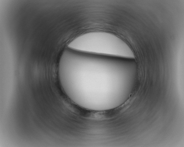 X0000111520078200907141245