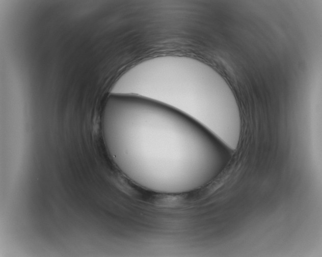 X0000111520081200907141245