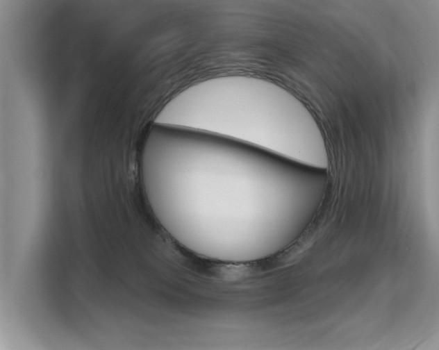 X0000111520085200907141245