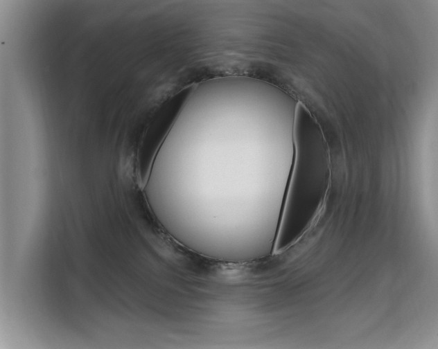 X0000111520088200907141245