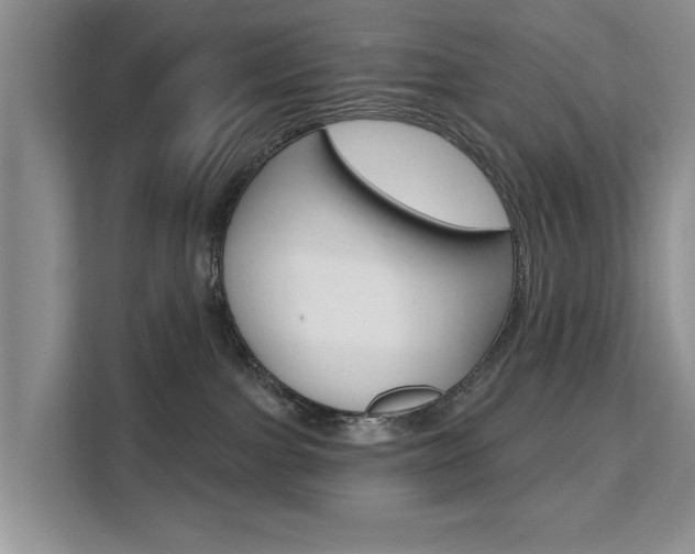 X0000111520091200907141245