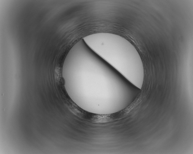 X0000111520093200907141245
