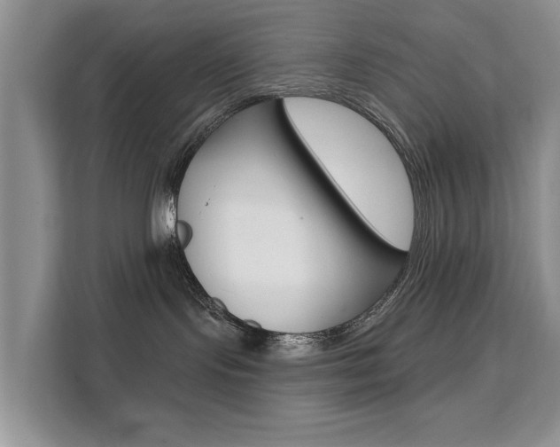 X0000111520095200907141245
