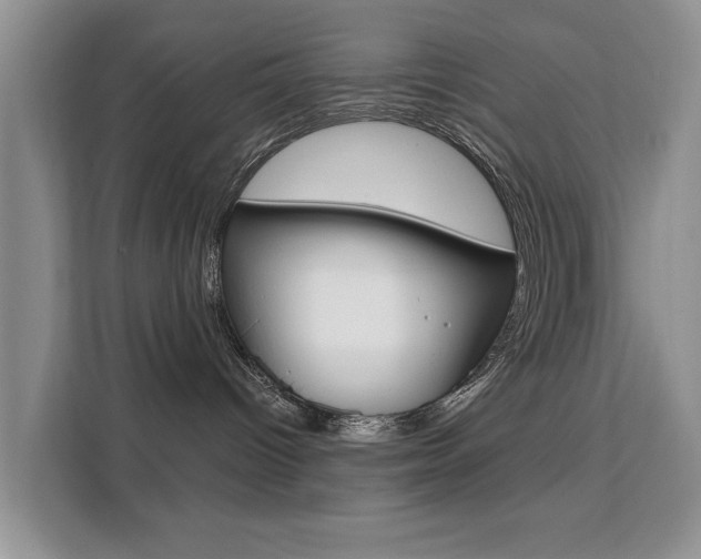 X0000111520096200907141245