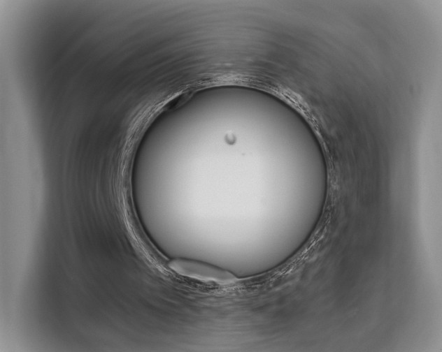 X0000111520097200907141244