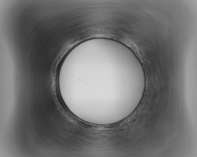 X0000111520098200907141244