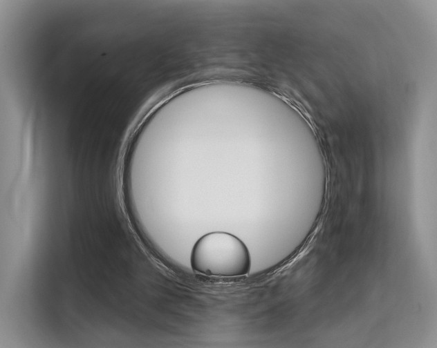 X0000111520101200907141244