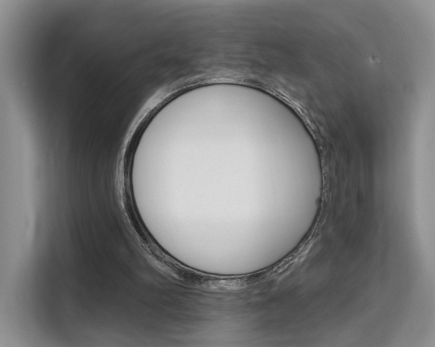 X0000111520102200907141244
