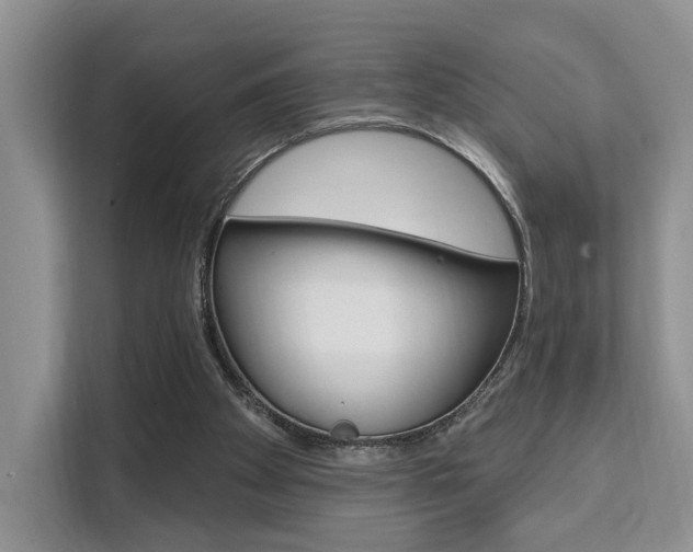 X0000111520105200907141244