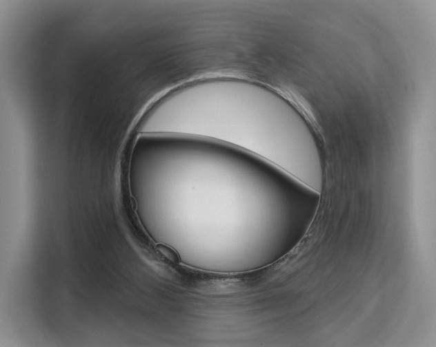X0000111520108200907141244