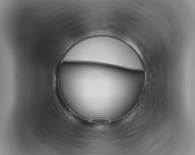 X0000111520109200907141244