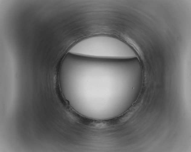 X0000111520113200907141244