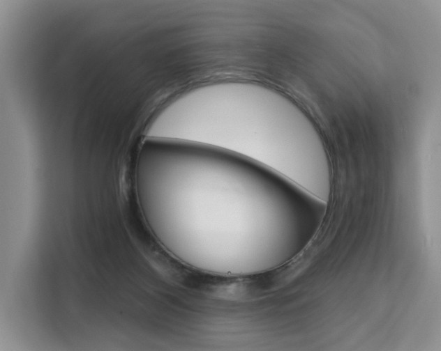 X0000111520116200907141244