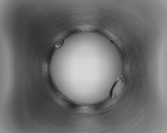 X0000111520117200907141244