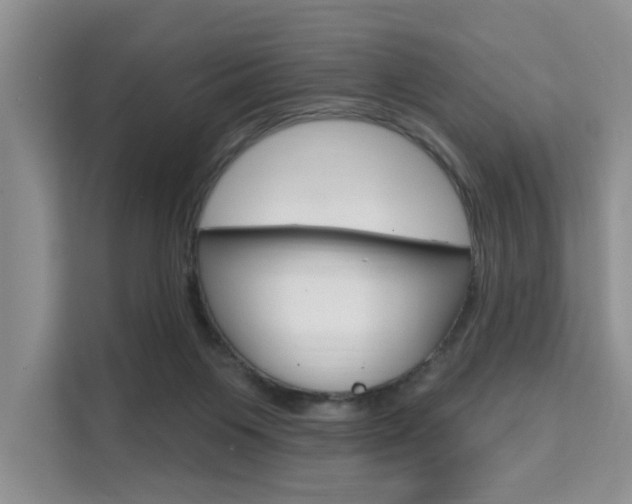 X0000111520119200907141244