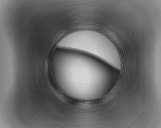X0000111520120200907141244