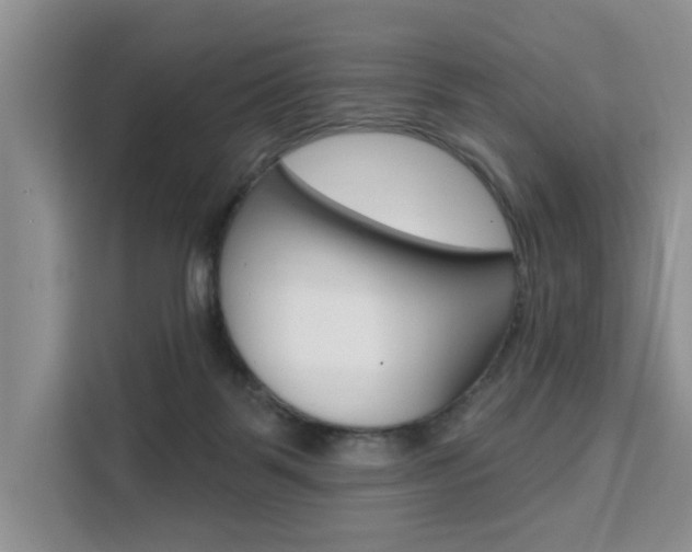 X0000111520123200907141244