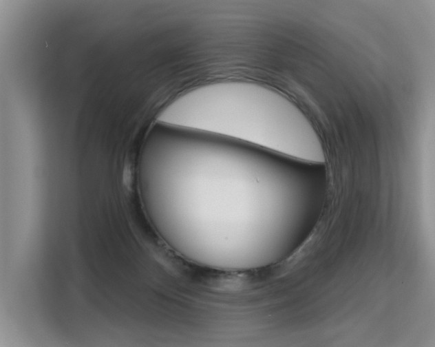 X0000111520124200907141244