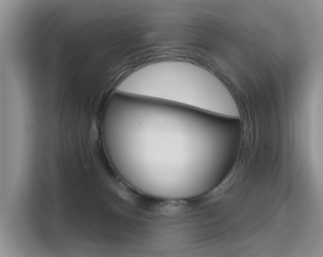 X0000111520128200907141244