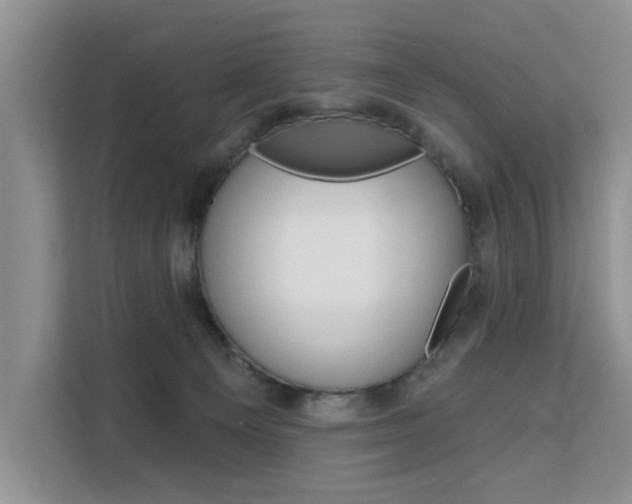 X0000111520129200907141244