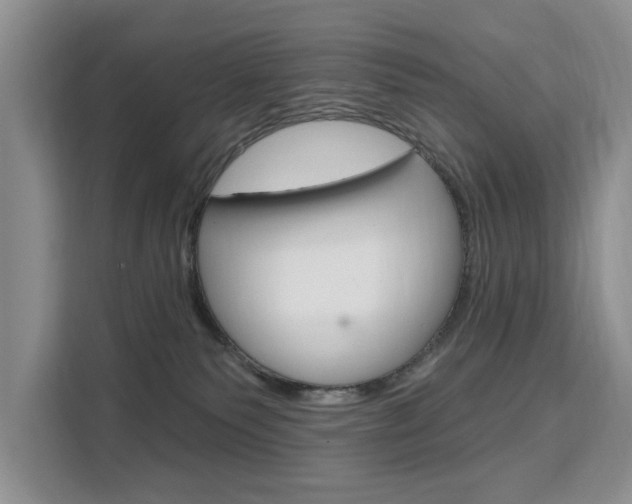X0000111520135200907141244