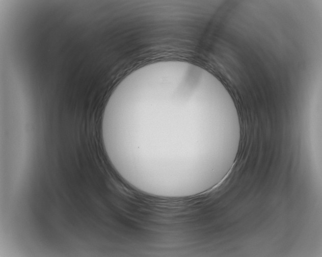 X0000111520136200907141244