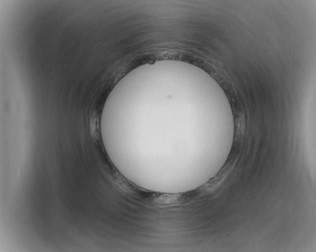 X0000111520138200907141244